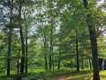 Property photo 49