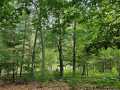 Property photo 50
