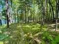 Property photo 45