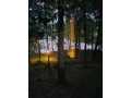 Property photo 50