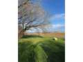 Property photo 50