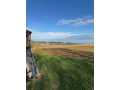 Property photo 51