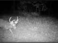 Property photo 57