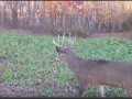 Property photo 58