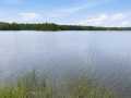Property photo 50