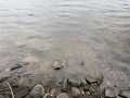 Property photo 53