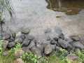 Property photo 54