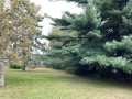 Property photo 49