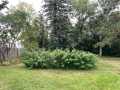 Property photo 50