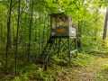 Property photo 50