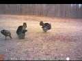 Property photo 44