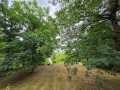 Property photo 55