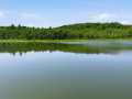 Property photo 50