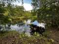 Property photo 42