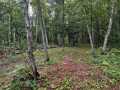 Property photo 49