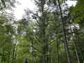Property photo 50