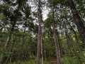 Property photo 51