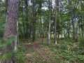 Property photo 52