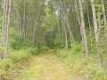 Property photo 41