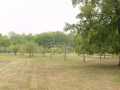 Property photo 51