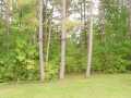 Property photo 53