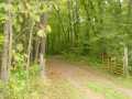Property photo 55