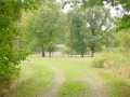 Property photo 58