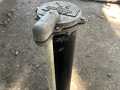 Property photo 51
