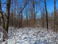 Property photo 44