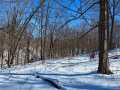 Property photo 50