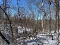 Property photo 57