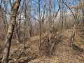 Property photo 59