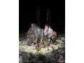 Property photo 54