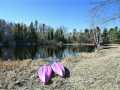 Property photo 35