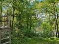 Property photo 53
