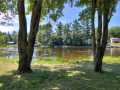 Property photo 50