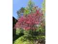 Property photo 53