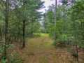 Property photo 50