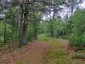 Property photo 51