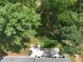 Property photo 60
