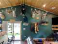 Property photo 56