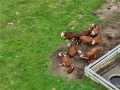 Property photo 33