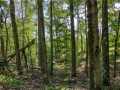 Property photo 50
