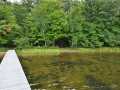 Property photo 54