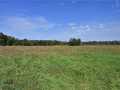 Property photo 50