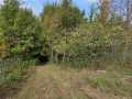 Property photo 49