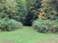 Property photo 55