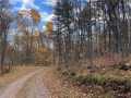 Property photo 54