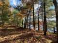 Property photo 60