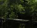 Property photo 53